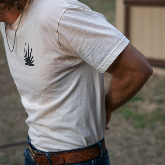 The California Coyote